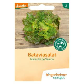 V! Bataviasalat Maravilla de Verano, Bingenheimer